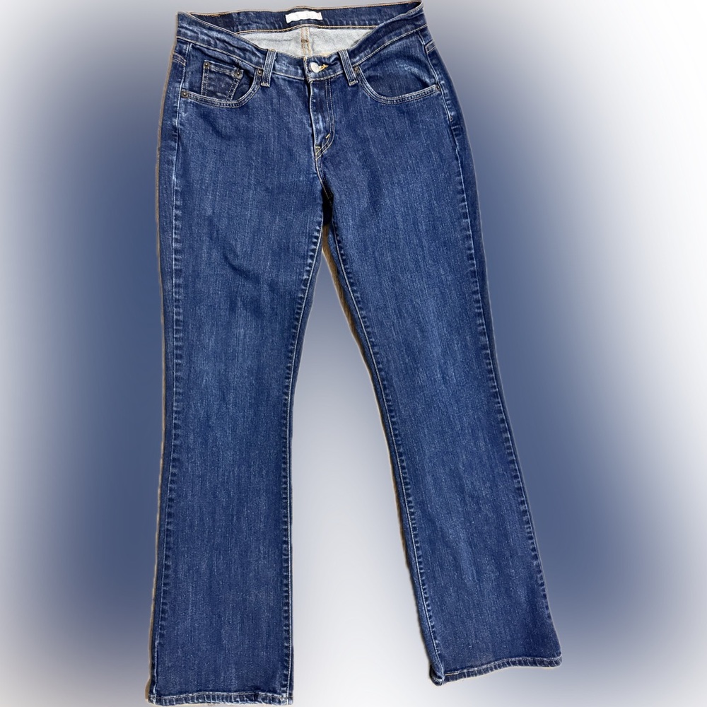 Levi’s 529 Jeans Curvy Bootcut Stretch Sz 10 LONG
